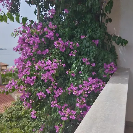 Aparthotel Luna Tsuki Seven Rovinj